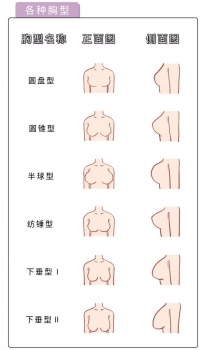 女人的乳房是什么样的图片？女性的胸部有哪些形状？[多图]
