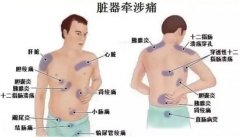 后背疼痛要警惕的三种病，后背疼痛图片位置示意图