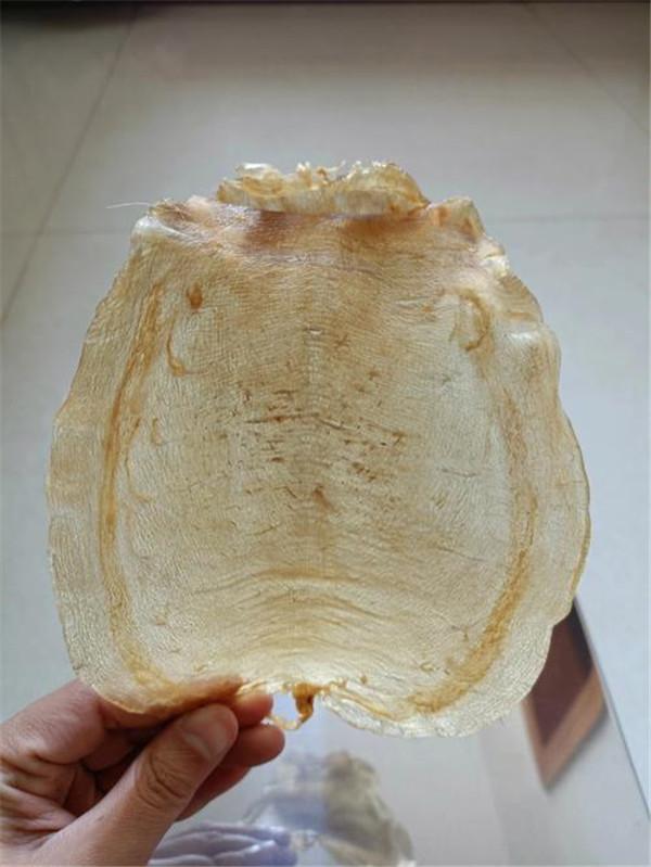 花胶干 花胶干货怎么吃 