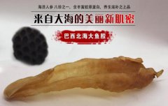 巴西鱼胶的功效与作用是什么