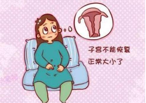 鱼胶真的补子宫内膜吗