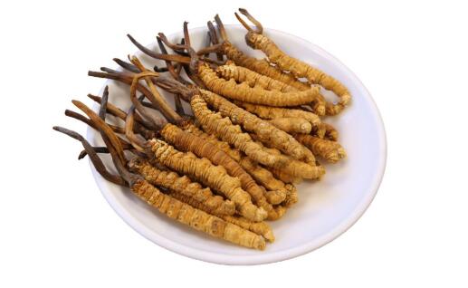 冬虫夏草抛气的特征是什么意思，冬虫夏草的“抛气”程度