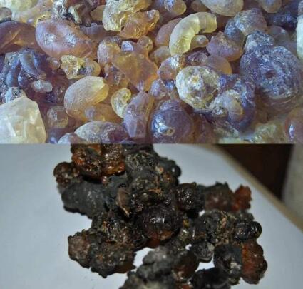 假桃胶泡发后图片,假的人工桃胶煮了会怎样