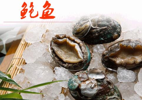 9头鲍鱼价格一只多少钱,九头鲍鱼是什么意思