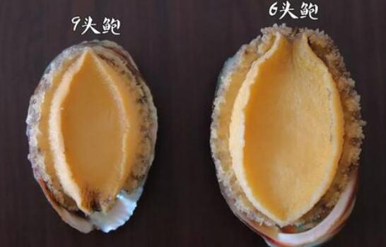 干鲍鱼中哪一种最好,鲍鱼干得好还是活的好