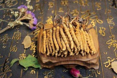 新鲜虫草如何晾晒,虫草为什么不能水洗