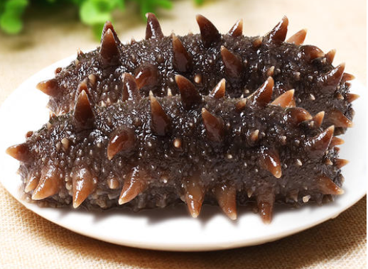 海参产妇可以吃吗,坐月子吃海参的最佳时段