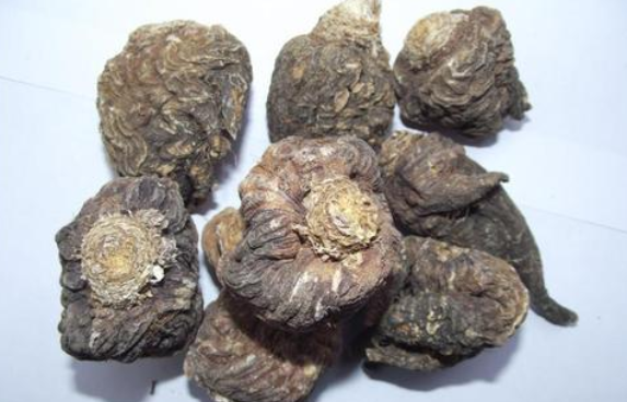 玛卡能提高性功能吗,吃玛咖片能不能治早射