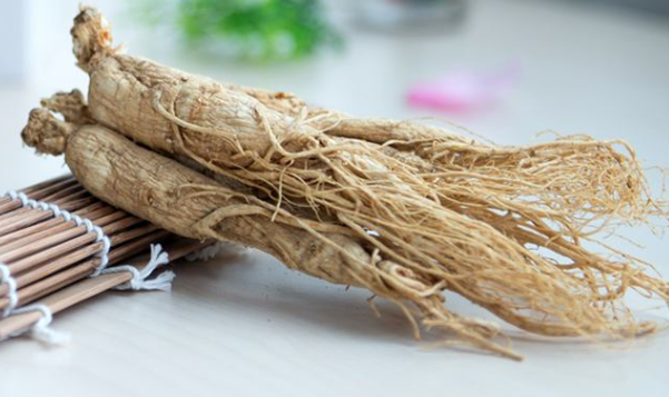 园参有药用价值吗,园参一年能长多大