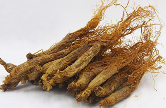 长白山人参功效与作用及禁忌,长白山人参可以泡水喝吗