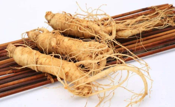 人参籽怎么种植方法,人工种人参如何种