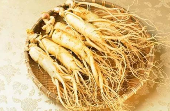 人参籽怎么种植方法,人工种人参如何种