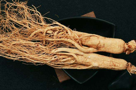 人参的种植方法和时间,人参什么时候种植