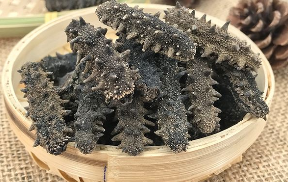 立冬吃海参还是冬至吃海参,立冬吃海参有什么好处