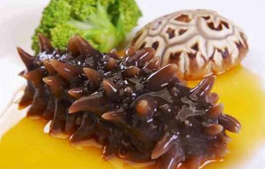海参的药用功效和作用,海参原浆的功效与作用
