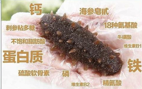 女人长期吃海参的好处,女人吃海参对子宫不好么