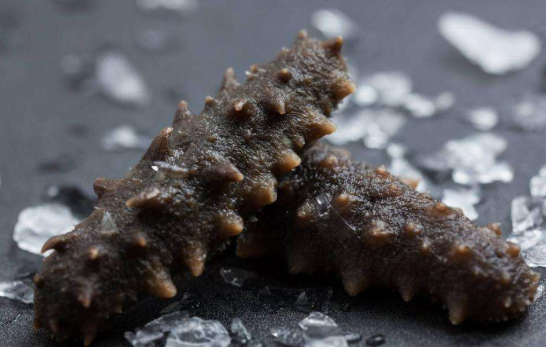 海参能引起雌激素升高吗,乳腺结节3类可以吃海参吗