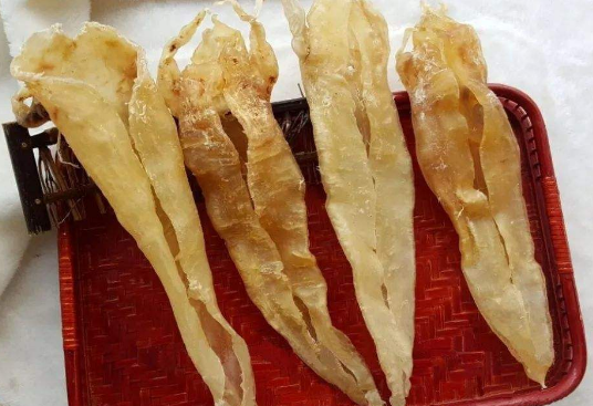 北海胶是鳌鱼胶吗,北海鱼胶怎么区别真假