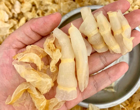 安利下:泰国哪里有鱼胶批发市场