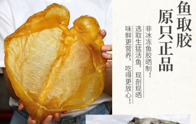 聊一聊心肌缺血可以吃鱼胶补血吗