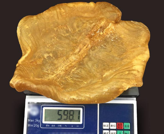 跟大家说下吃鱼胶会影响月经吗
