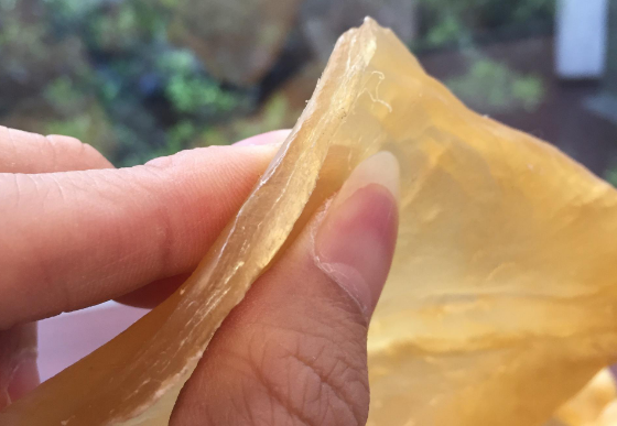 鱼胶的泡发及做法
