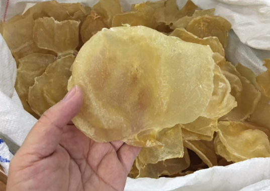 35头黄花胶什么意思