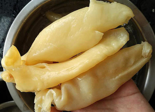 月经量少可以吃鱼胶调理吗