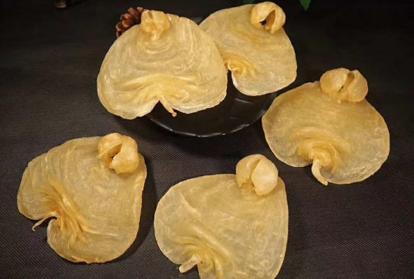 白鳘鱼胶是什么品种