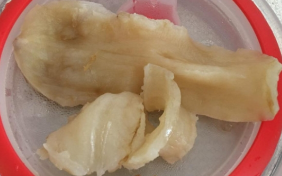 淡水鱼鱼泡算鱼胶吗