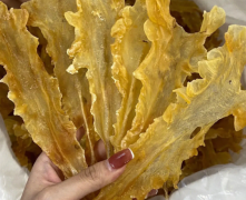 鳕鱼花胶多少钱一斤