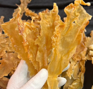 北极鳕鱼鱼胶价格多少一斤啊