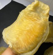 刺花赤嘴为什么这么贵