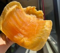 金兰赤嘴有养殖的吗