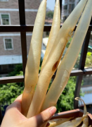 鳗鱼胶多少钱一斤