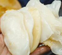30年国宴大厨告诉你们鲜炖鱼胶用哪种